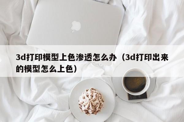 3d打印模型上色渗透怎么办（3d打印出来的模型怎么上色）