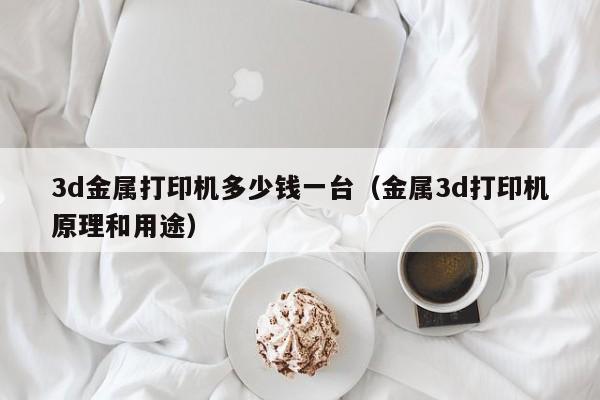 3d金属打印机多少钱一台（金属3d打印机原理和用途）